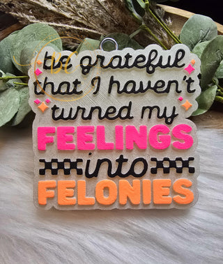 Feelings into Felonies Freshie
