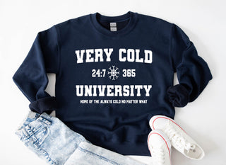 Very Cold University